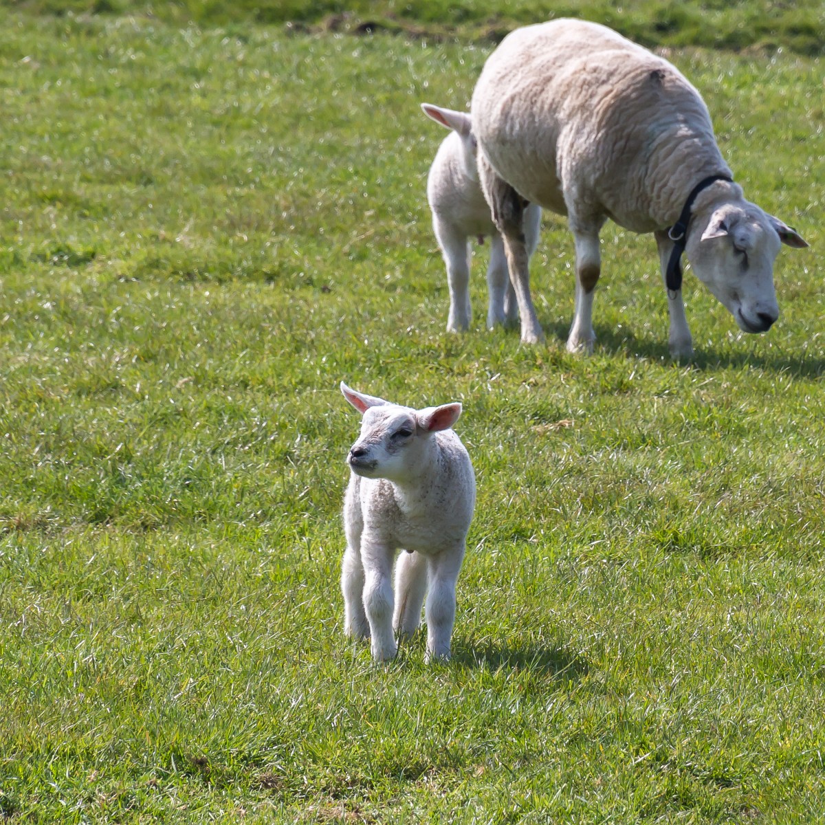 foto: [20190415PV9905-2]